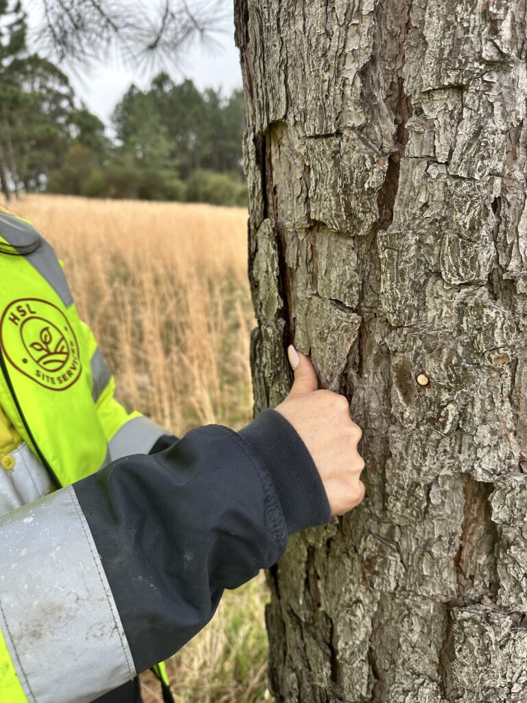 Vegetation management programs, HSL Site Services