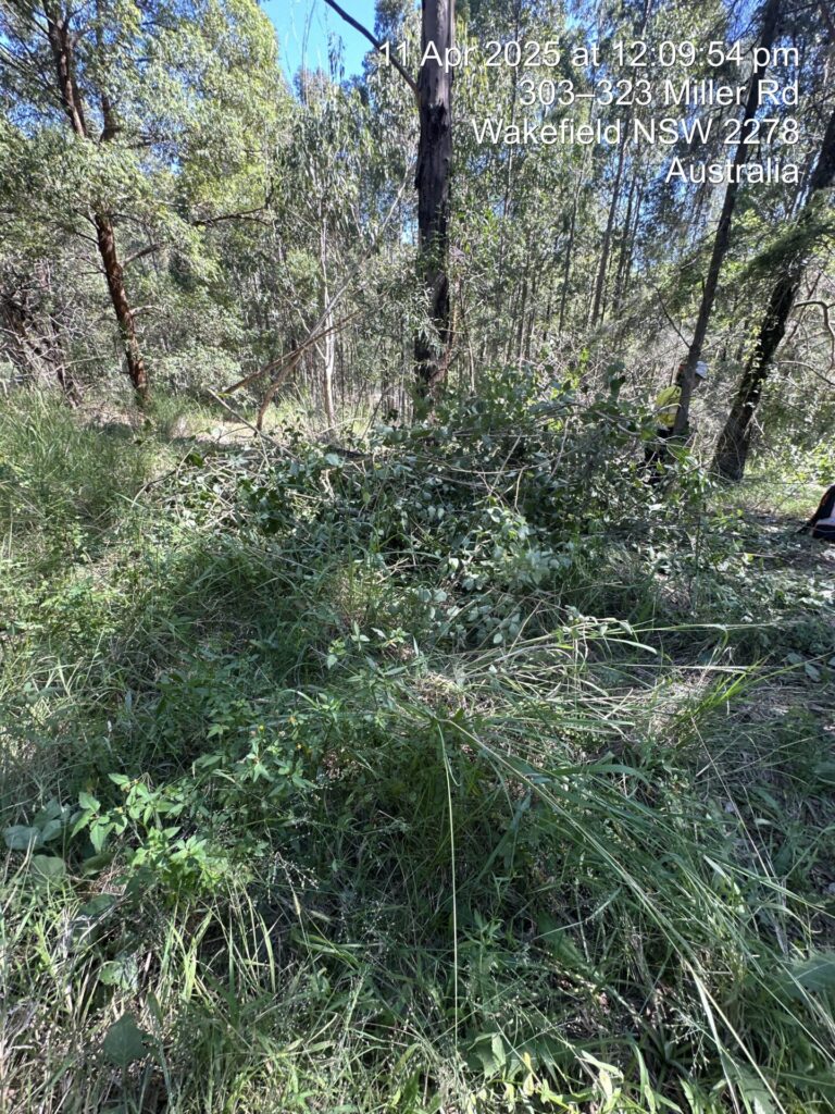 Vegetation management programs, HSL Site Services