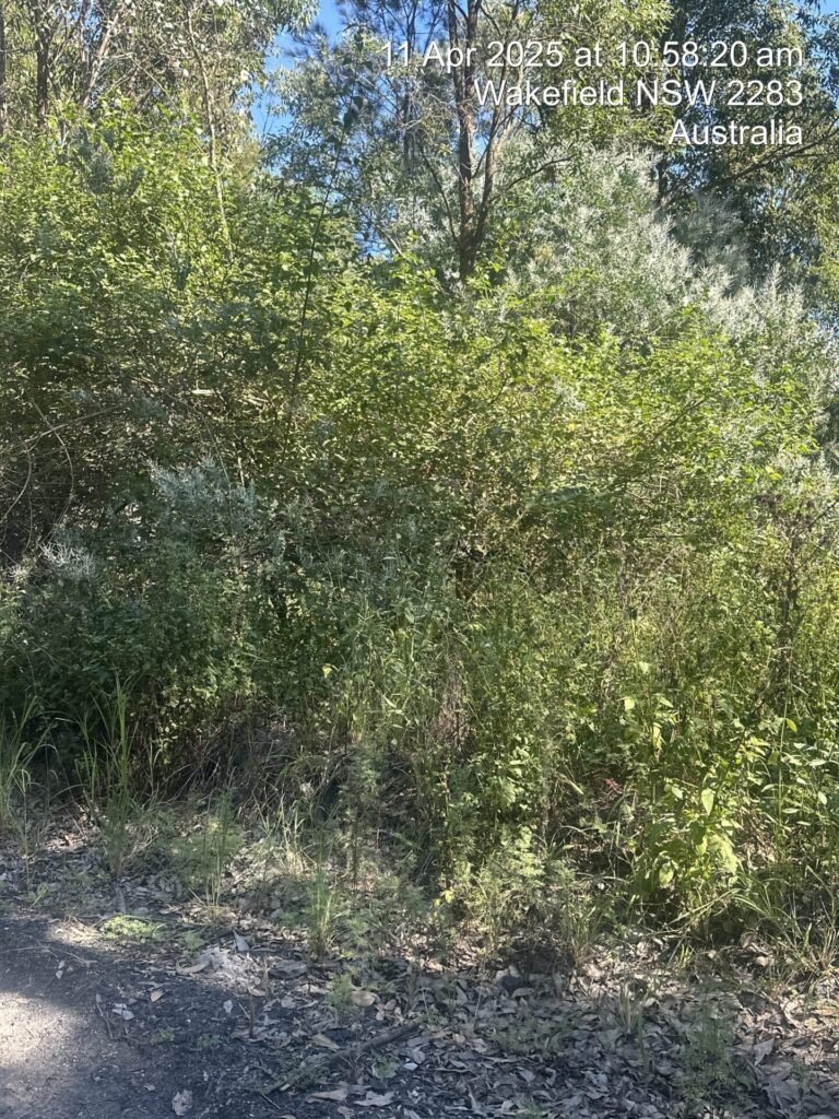 Vegetation management programs, HSL Site Services