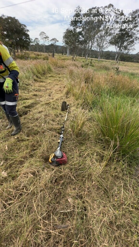 Vegetation management programs, HSL Site Services