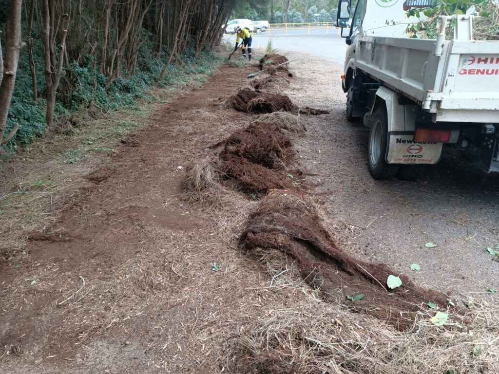 Vegetation management programs, HSL Site Services