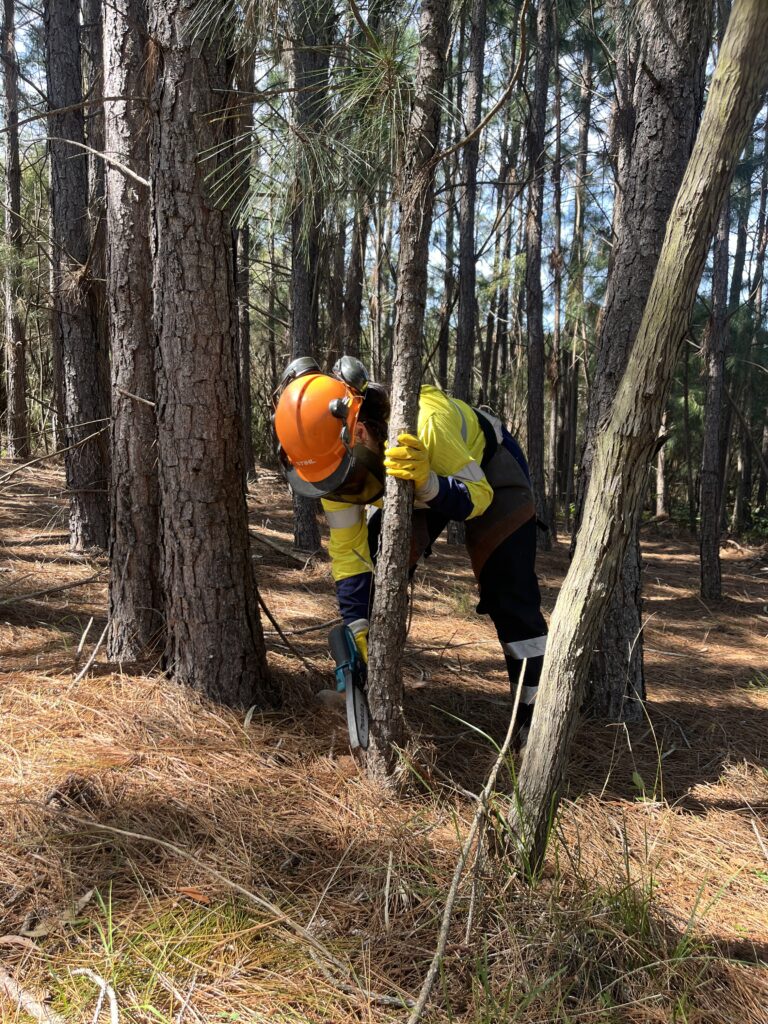 Vegetation management programs, HSL Site Services